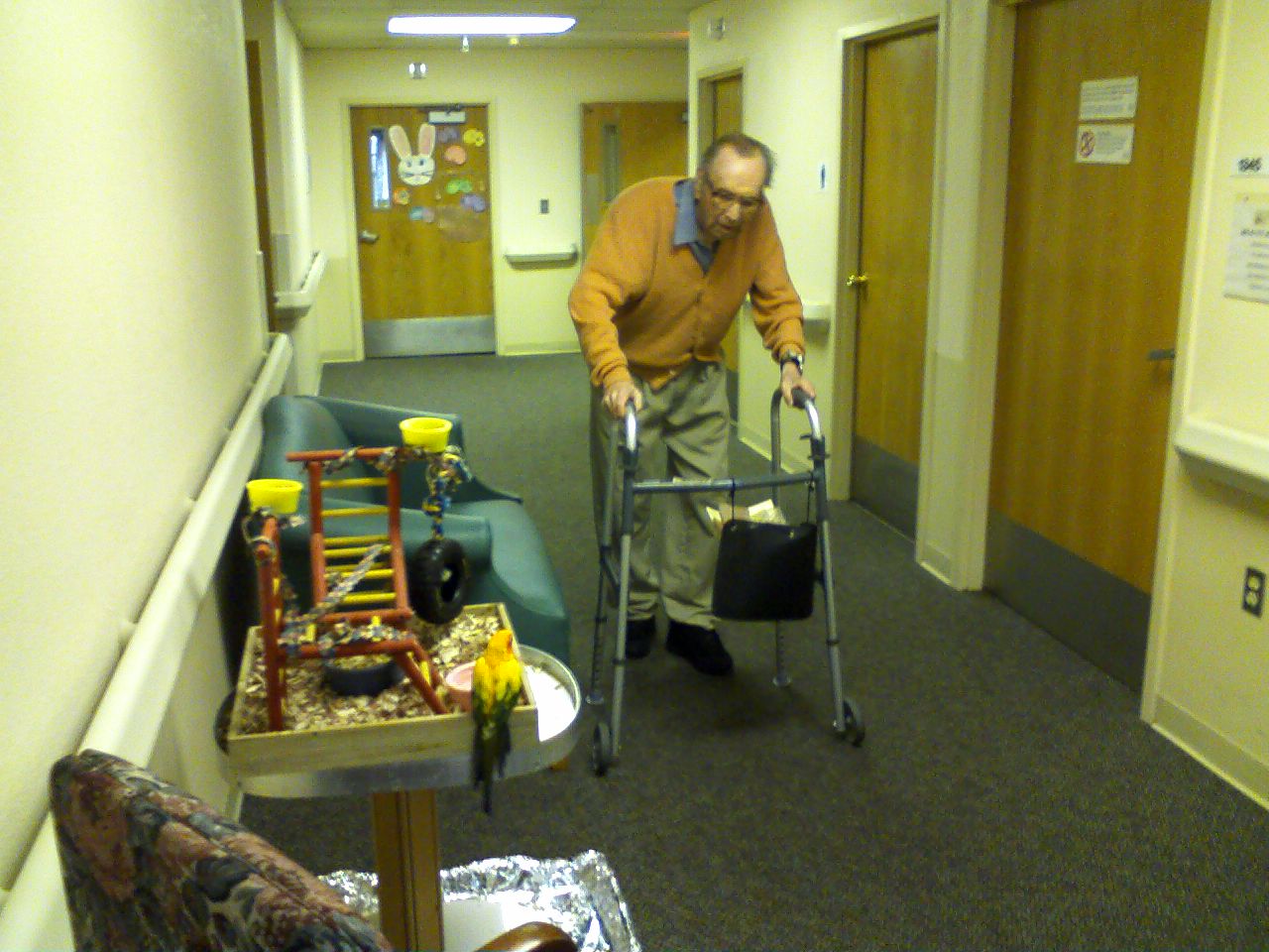 click for larger size