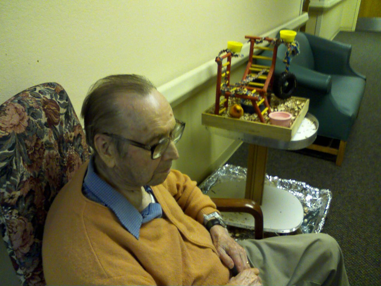 click for larger size