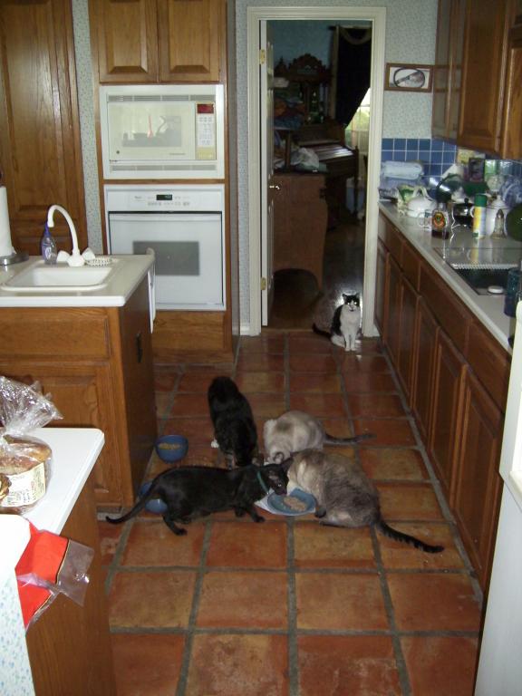 click for larger size