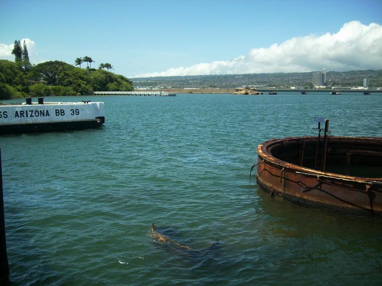 click for larger size