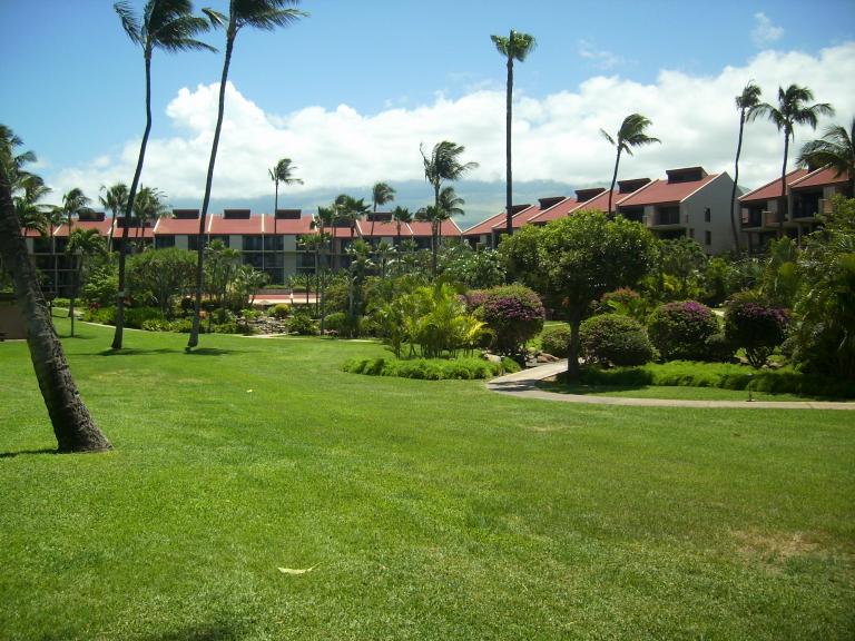 click for larger size