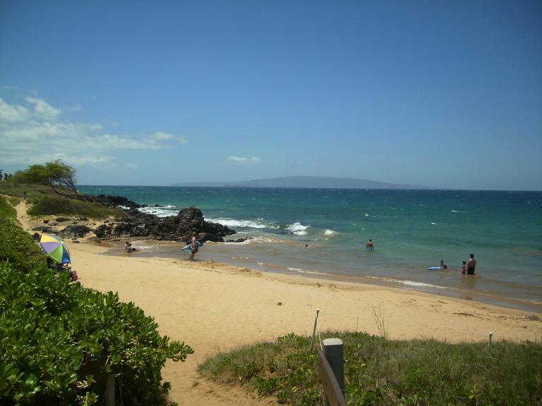 click for larger size