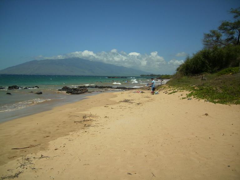 click for larger size