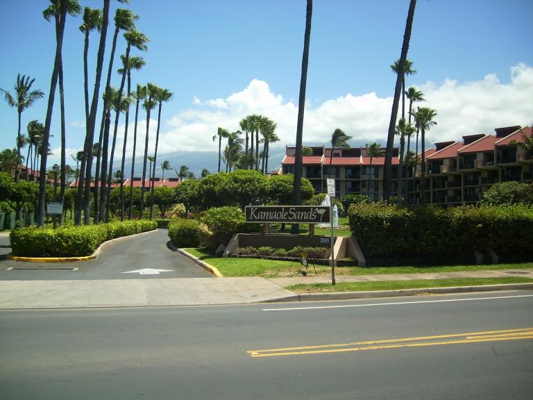 click for larger size