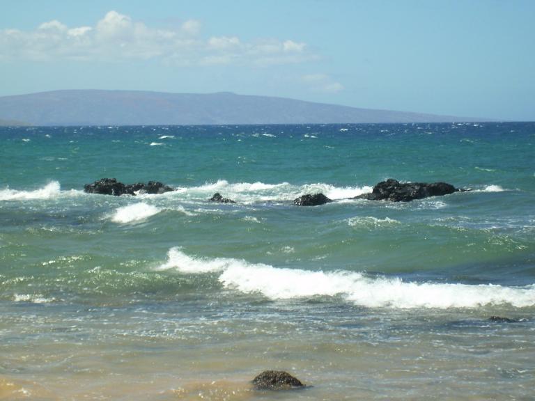 click for larger size