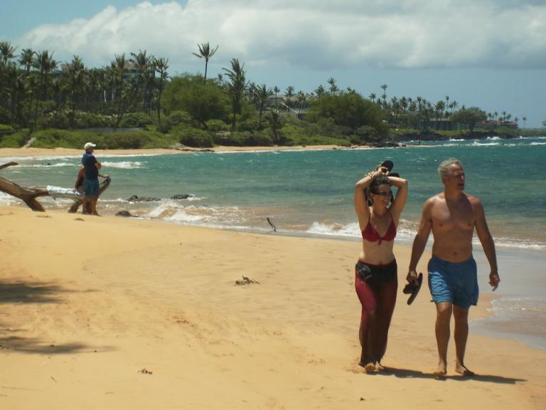 click for larger size