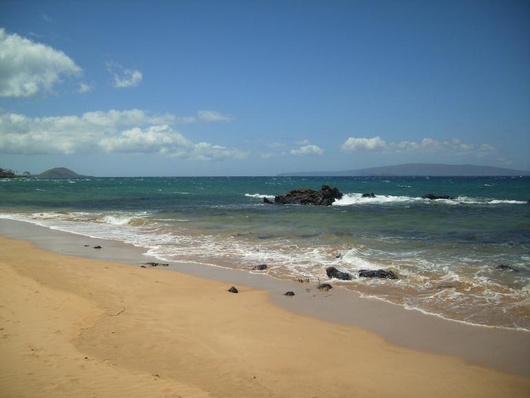 click for larger size