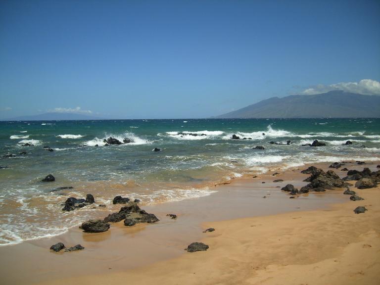 click for larger size