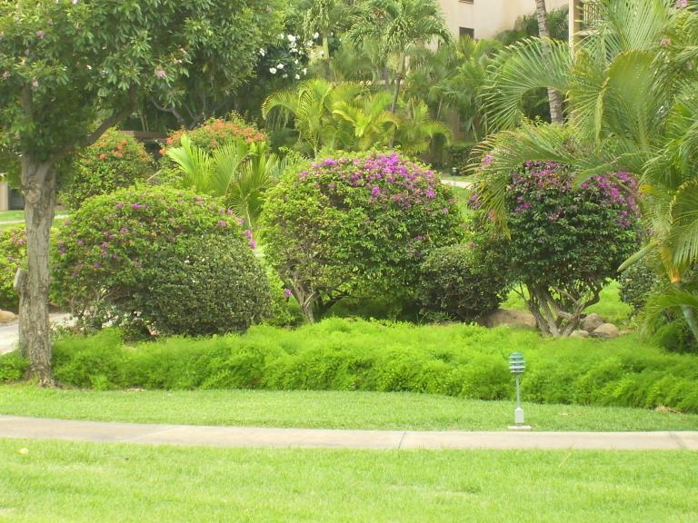 click for larger size