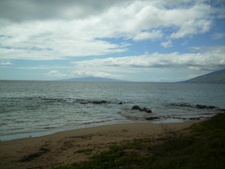 click for larger size