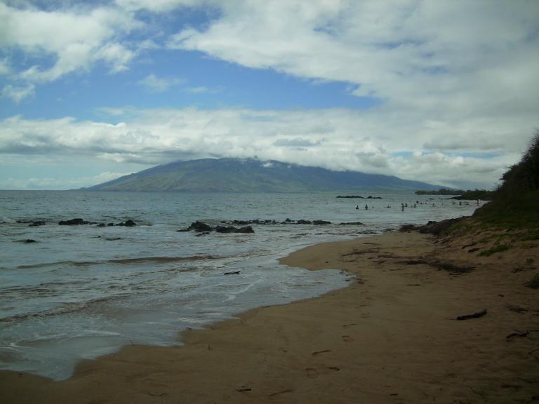 click for larger size