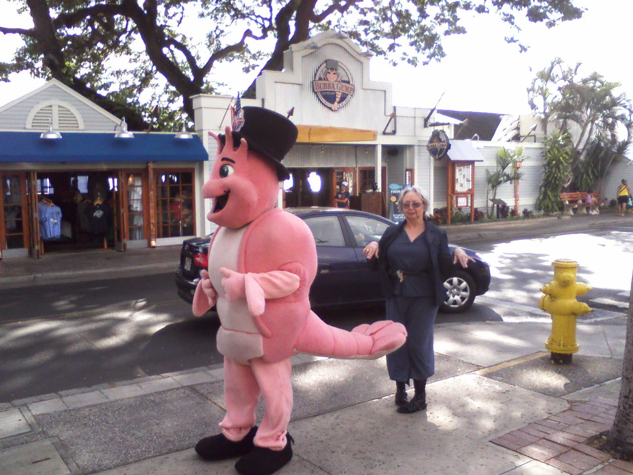 click for larger size