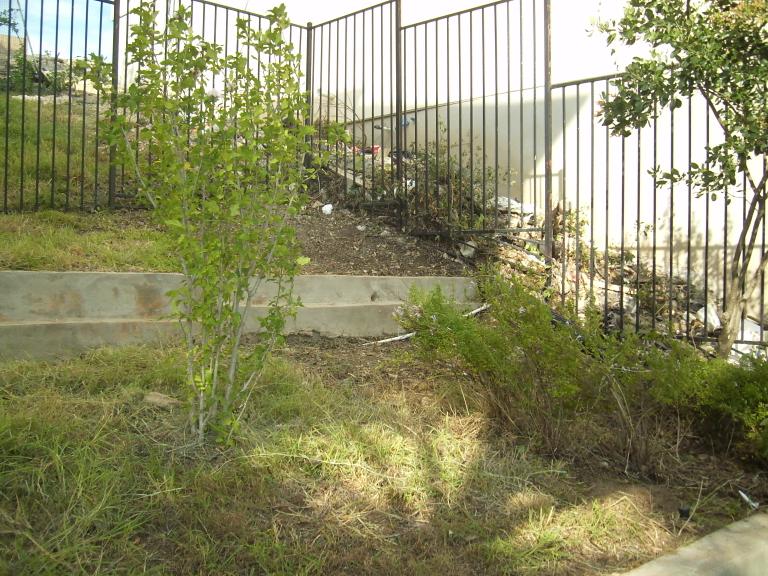 click for larger size