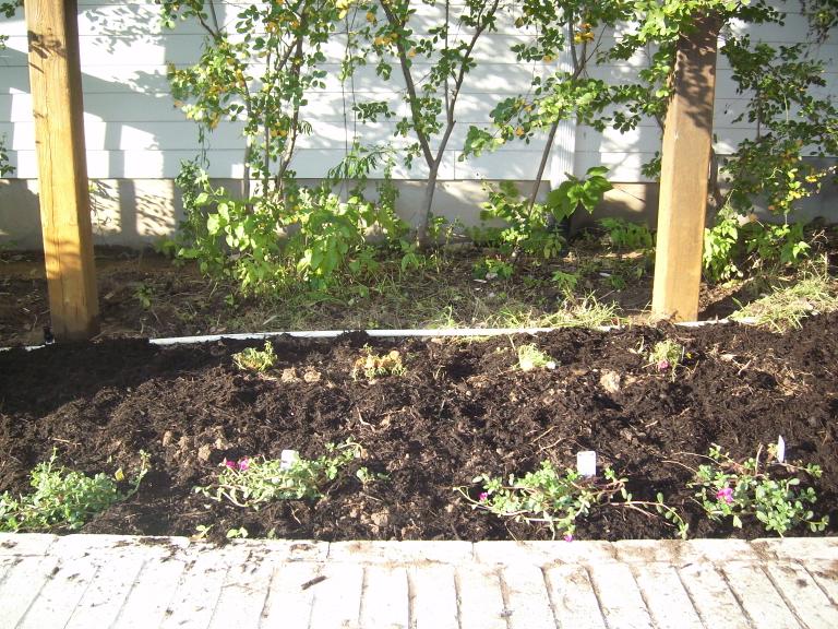 click for larger size