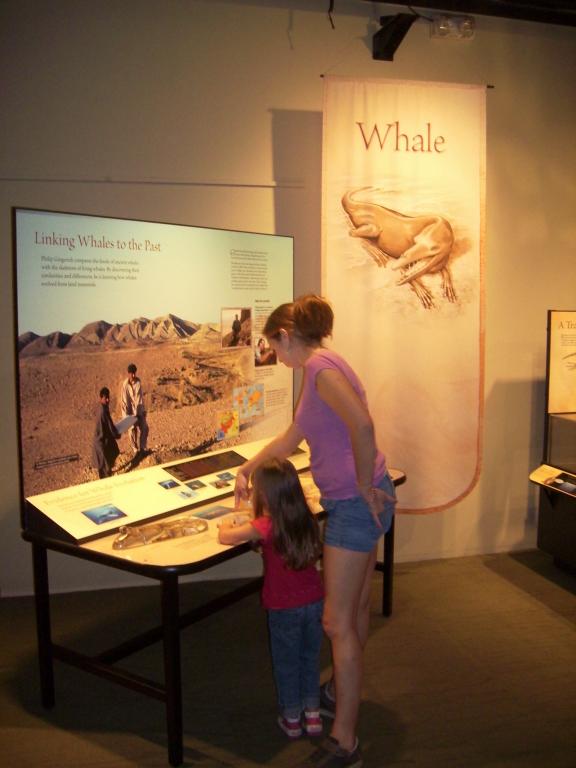 click for larger size