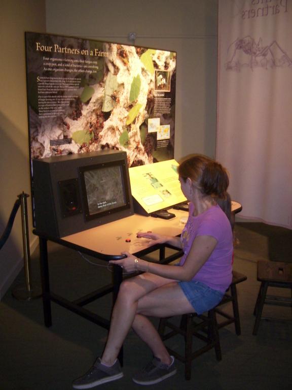 click for larger size