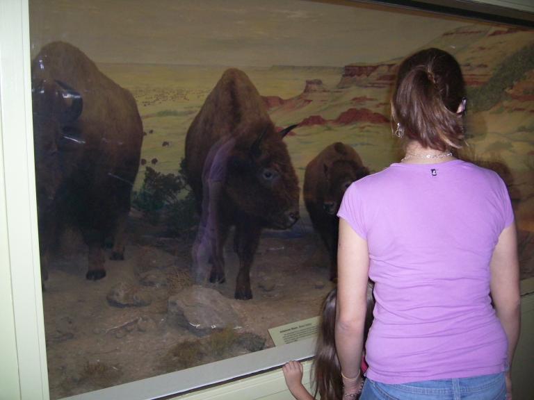 click for larger size