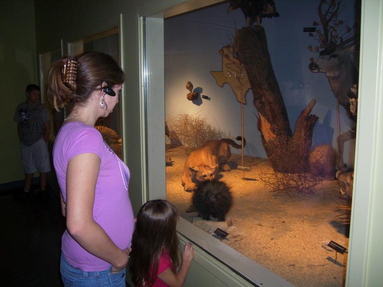 click for larger size