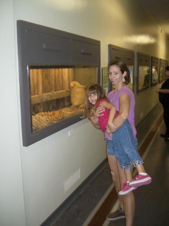 click for larger size