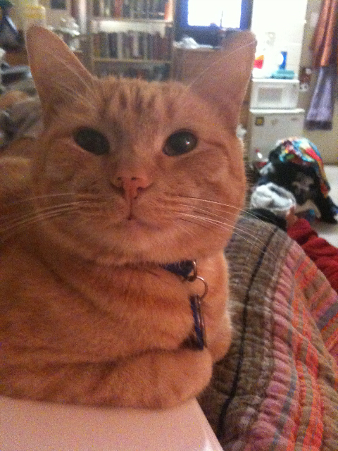 click for larger size