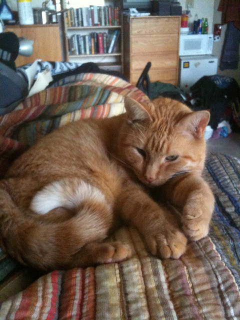 click for larger size