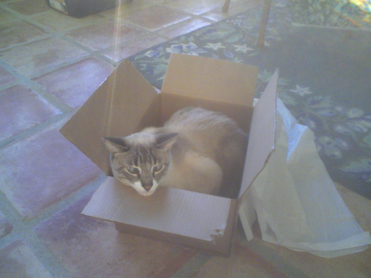 click for larger size