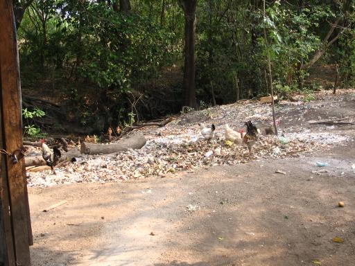 click for larger size