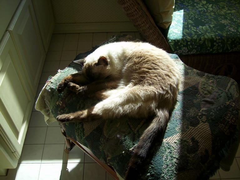 click for larger size