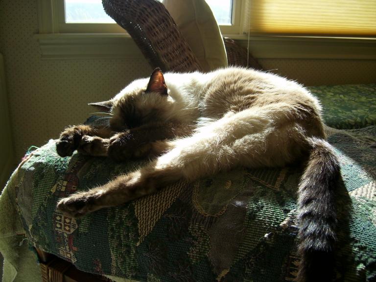 click for larger size