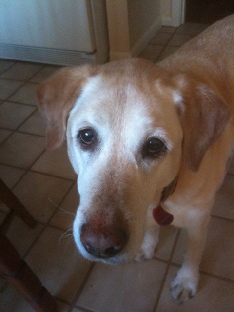 click for larger size