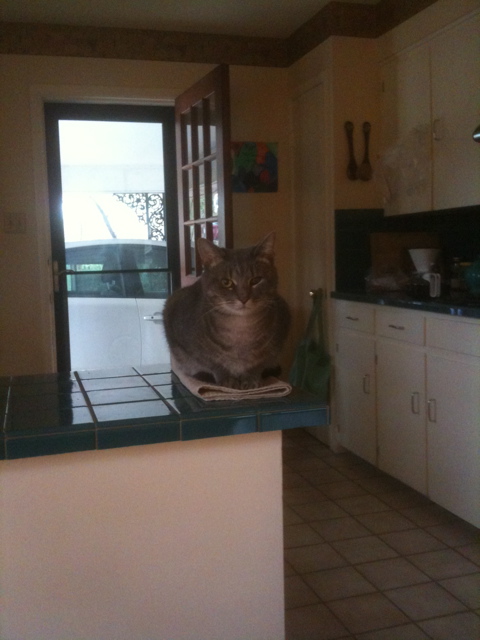 click for larger size