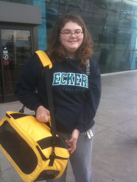 click for larger size