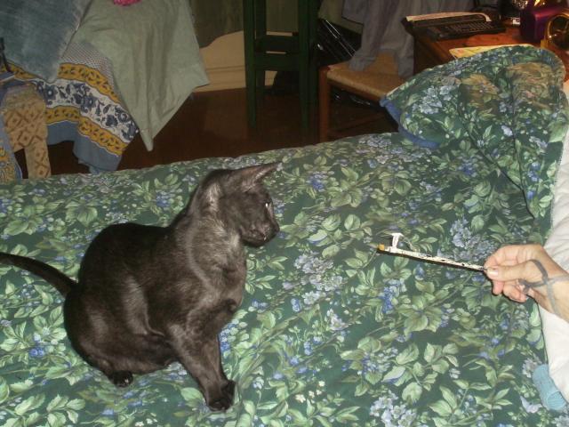 click for larger size