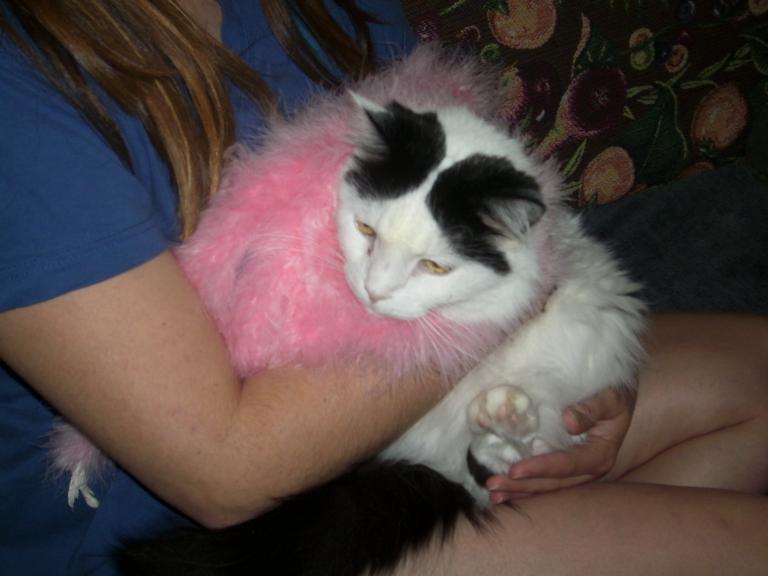 click for larger size