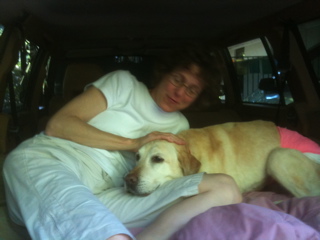 click for larger size