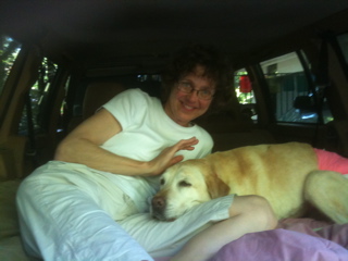 click for larger size