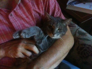 click for larger size