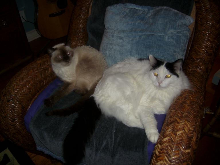 click for larger size