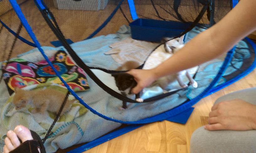 click for larger size