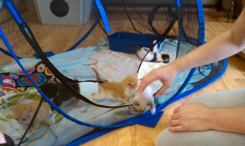 click for larger size