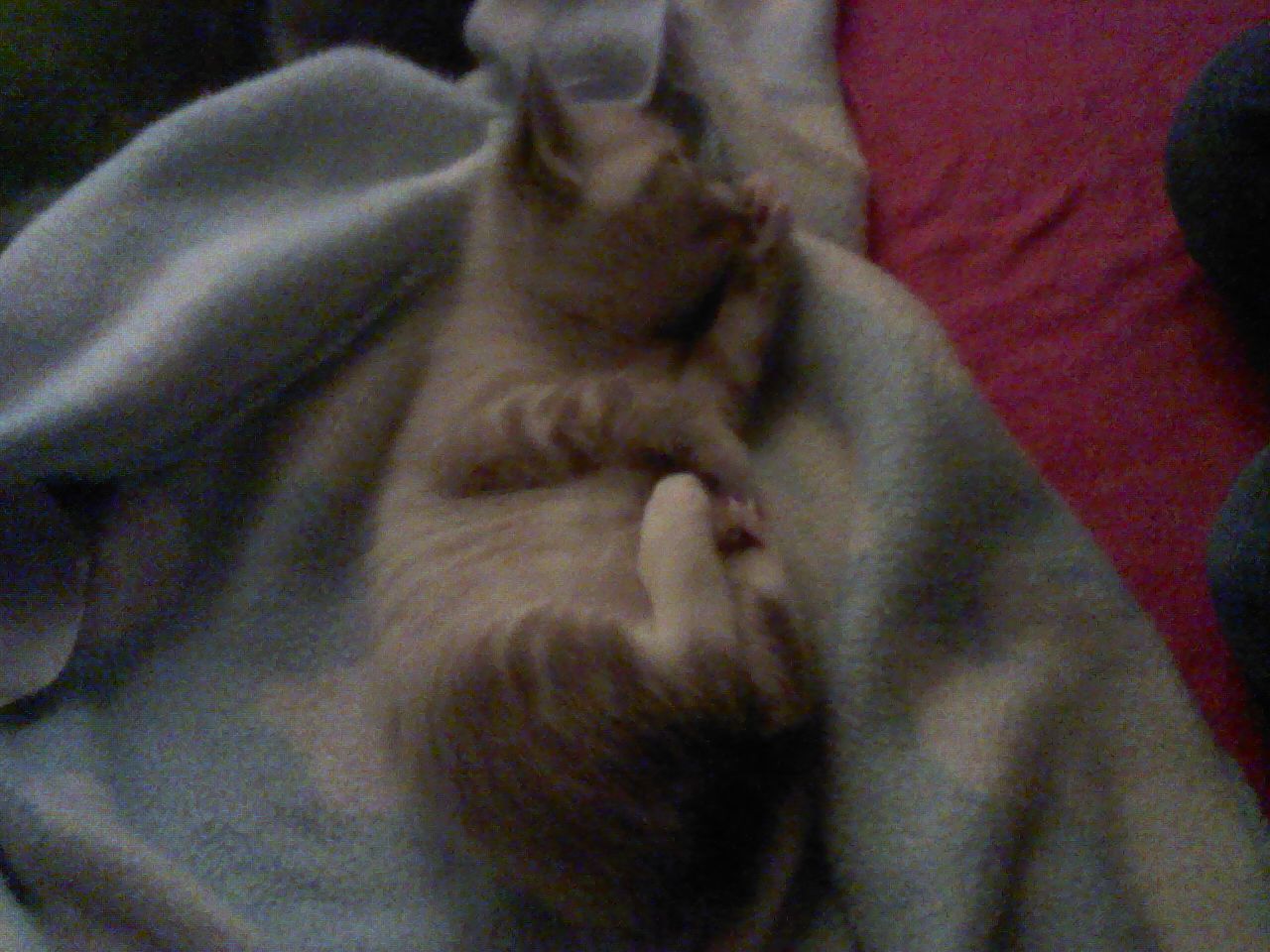 click for larger size