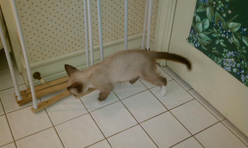 click for larger size