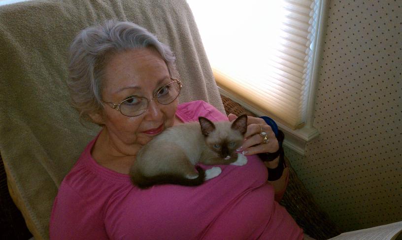 click for larger size