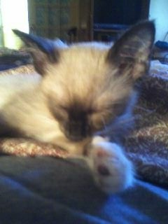 click for larger size