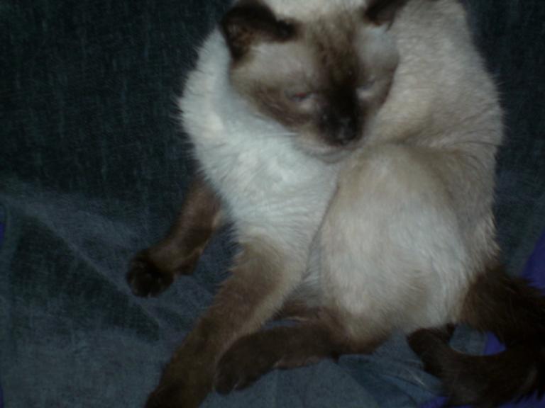 click for larger size