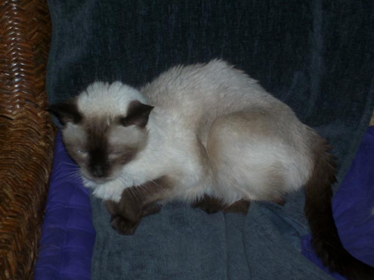 click for larger size