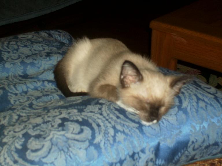 click for larger size