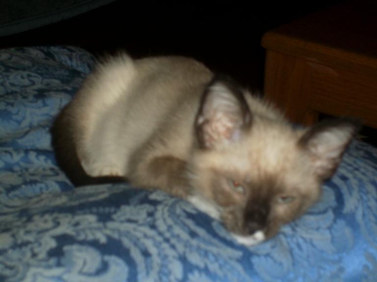 click for larger size