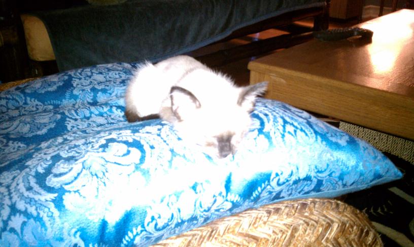 click for larger size