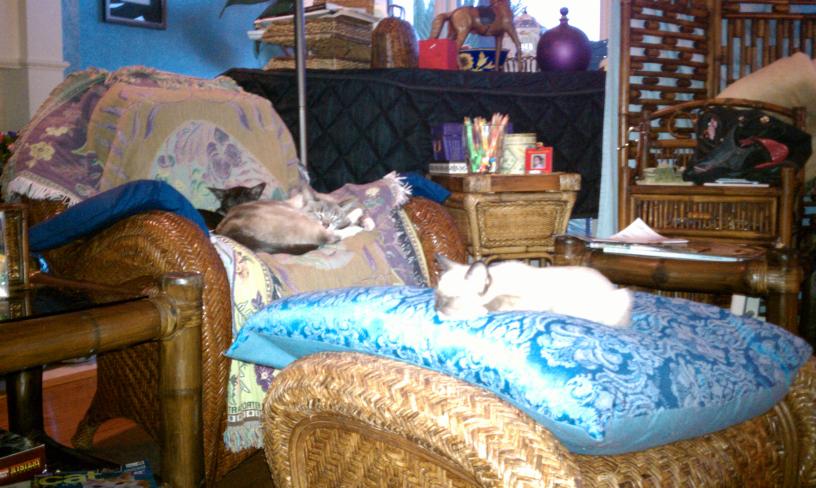 click for larger size